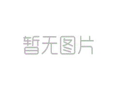 X019護(hù)膝